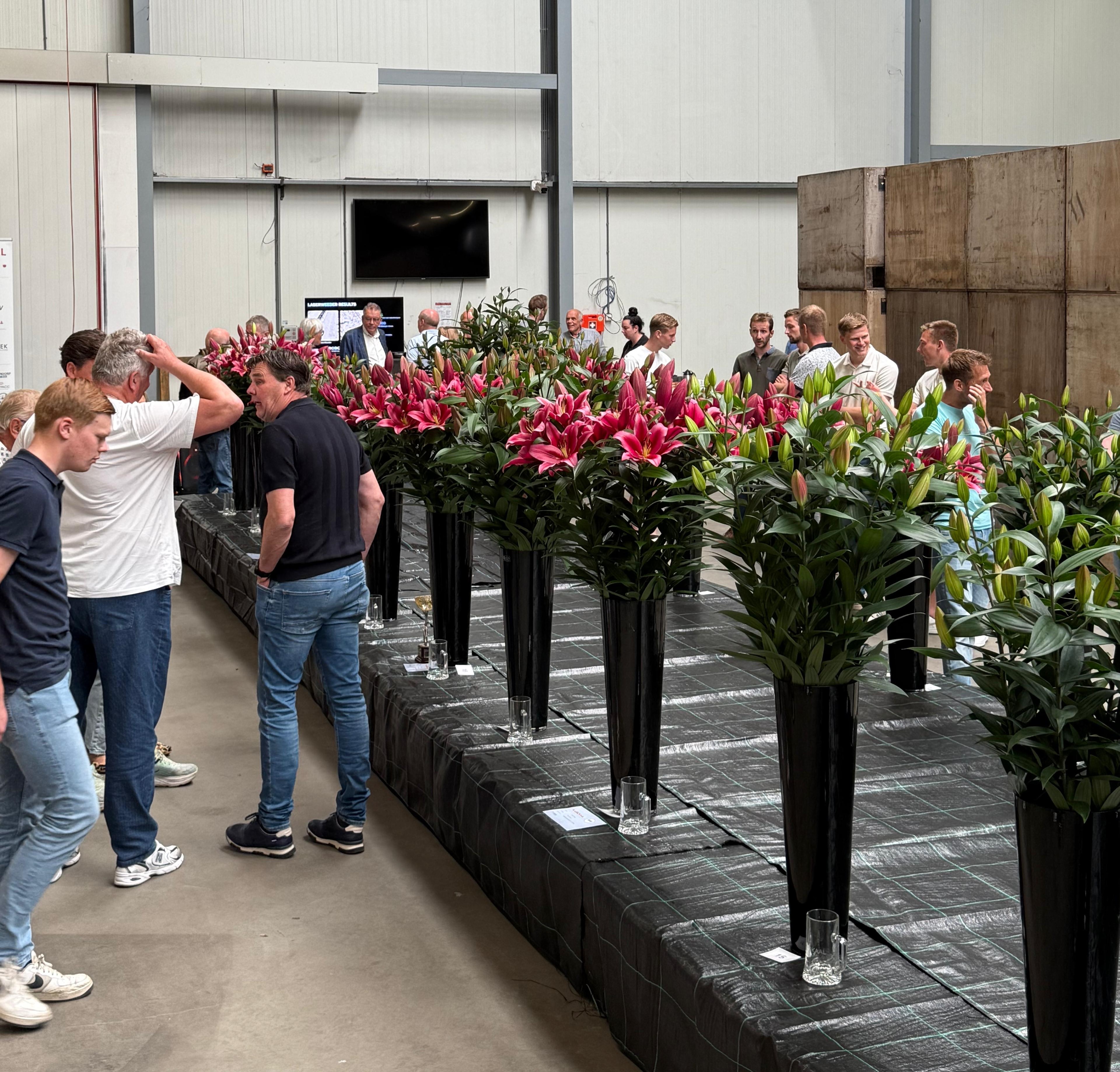CNB.nl | Nico Vork wint Plasbokaal 2025